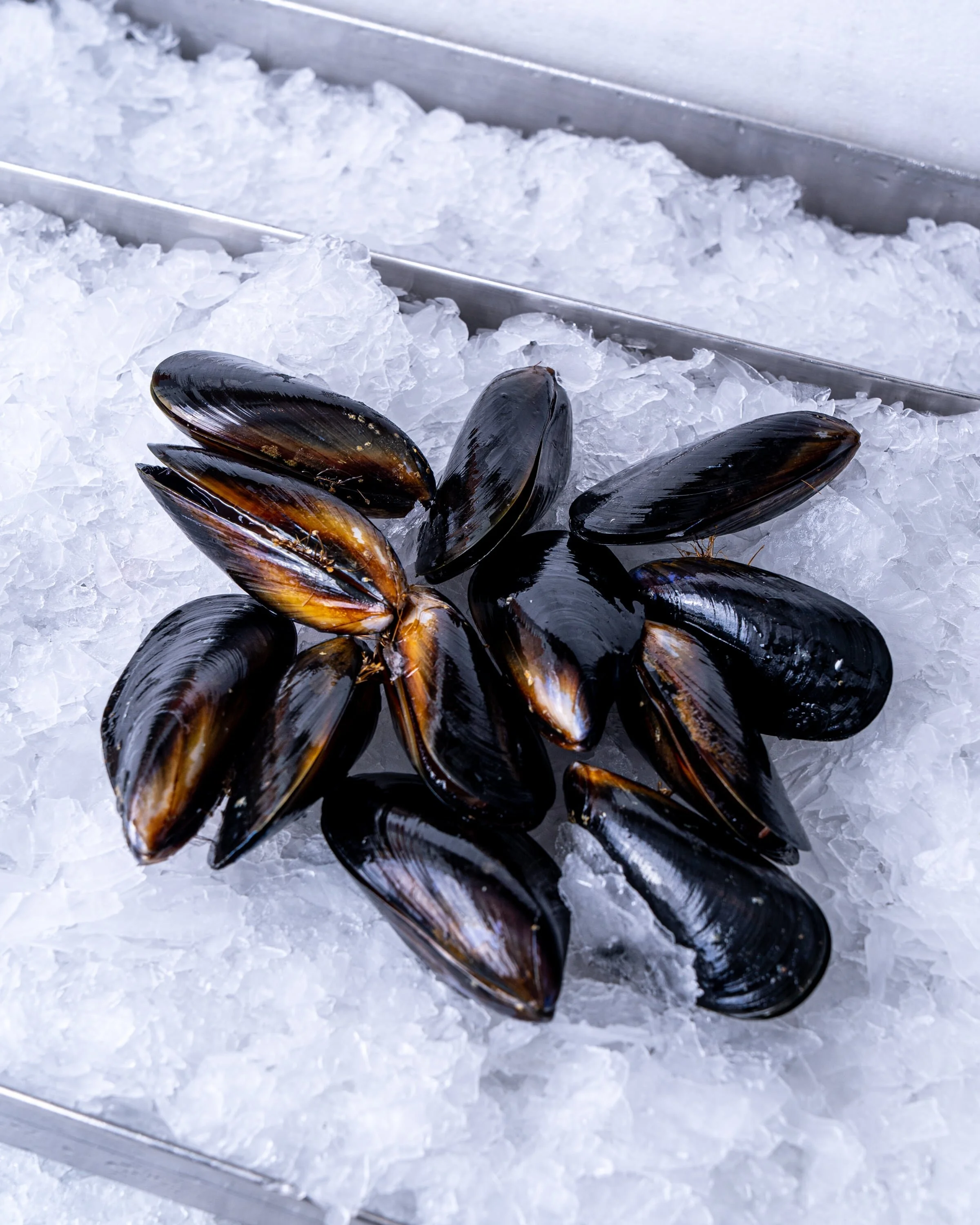 BLACK MUSSELS