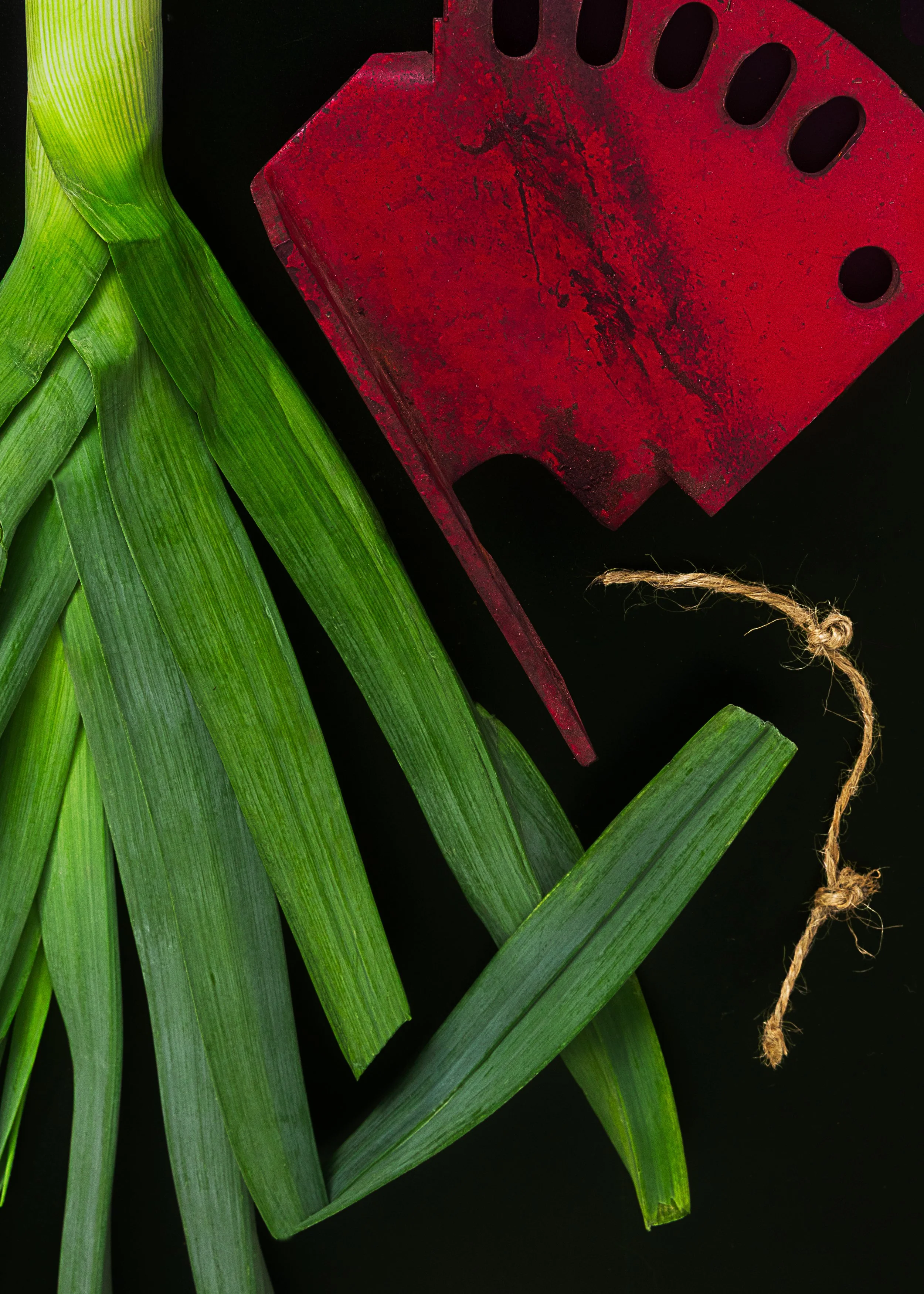 Abstract_Still_life_V2.jpg
