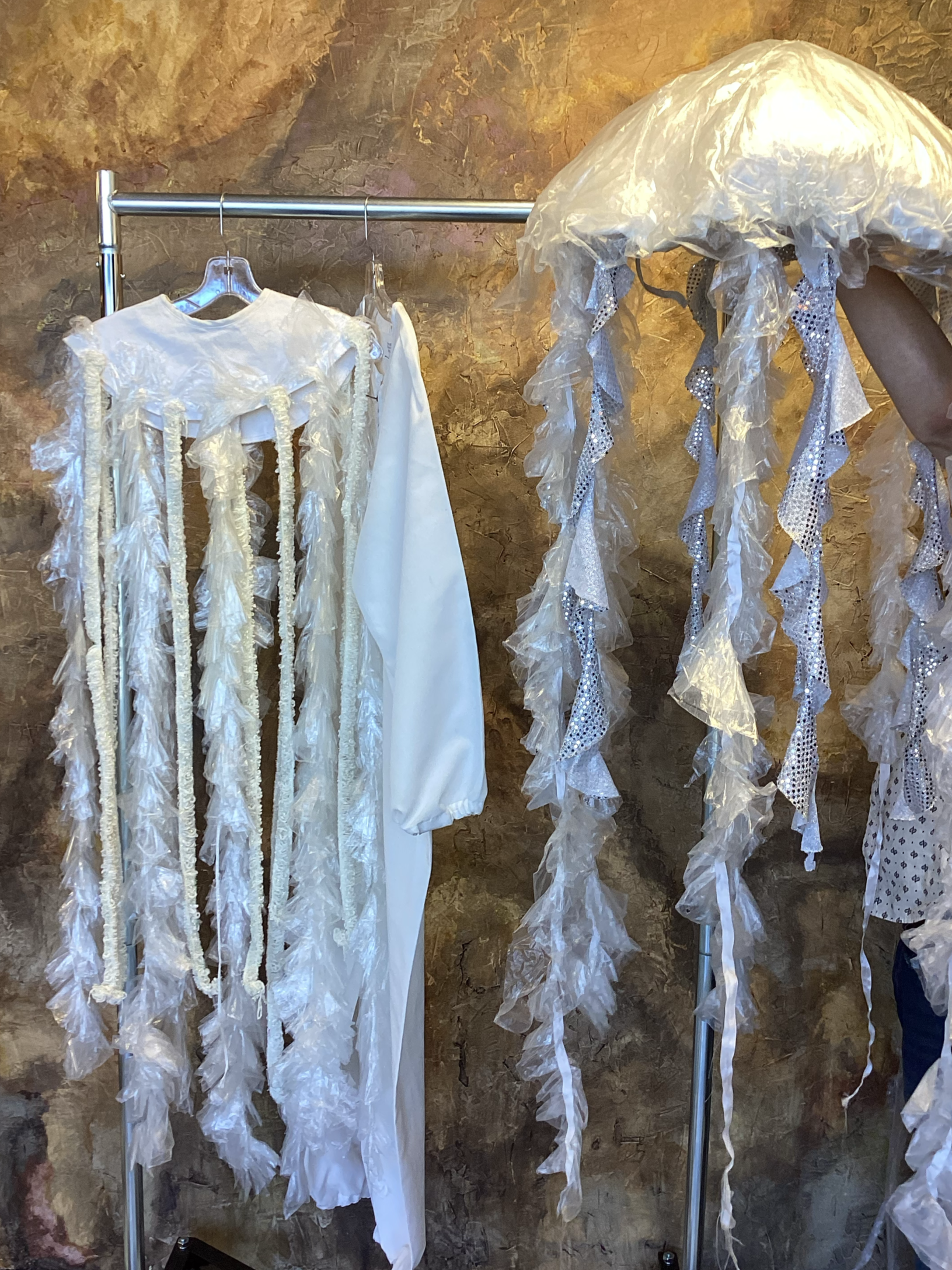 Sea creature - Jellyfish