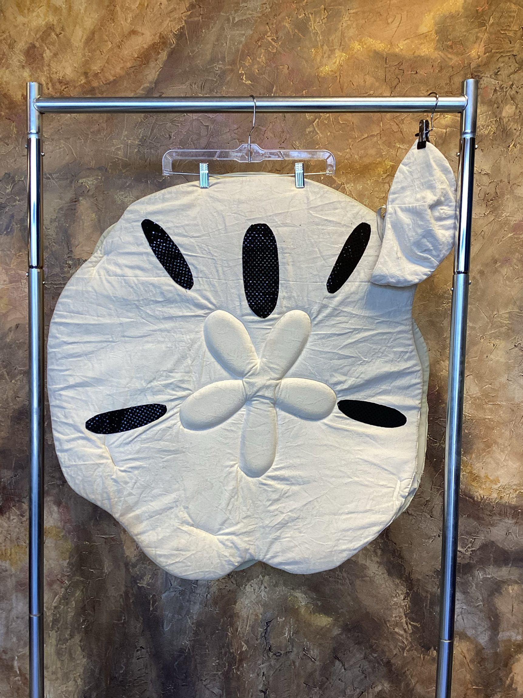 Sea creature - Sand dollar