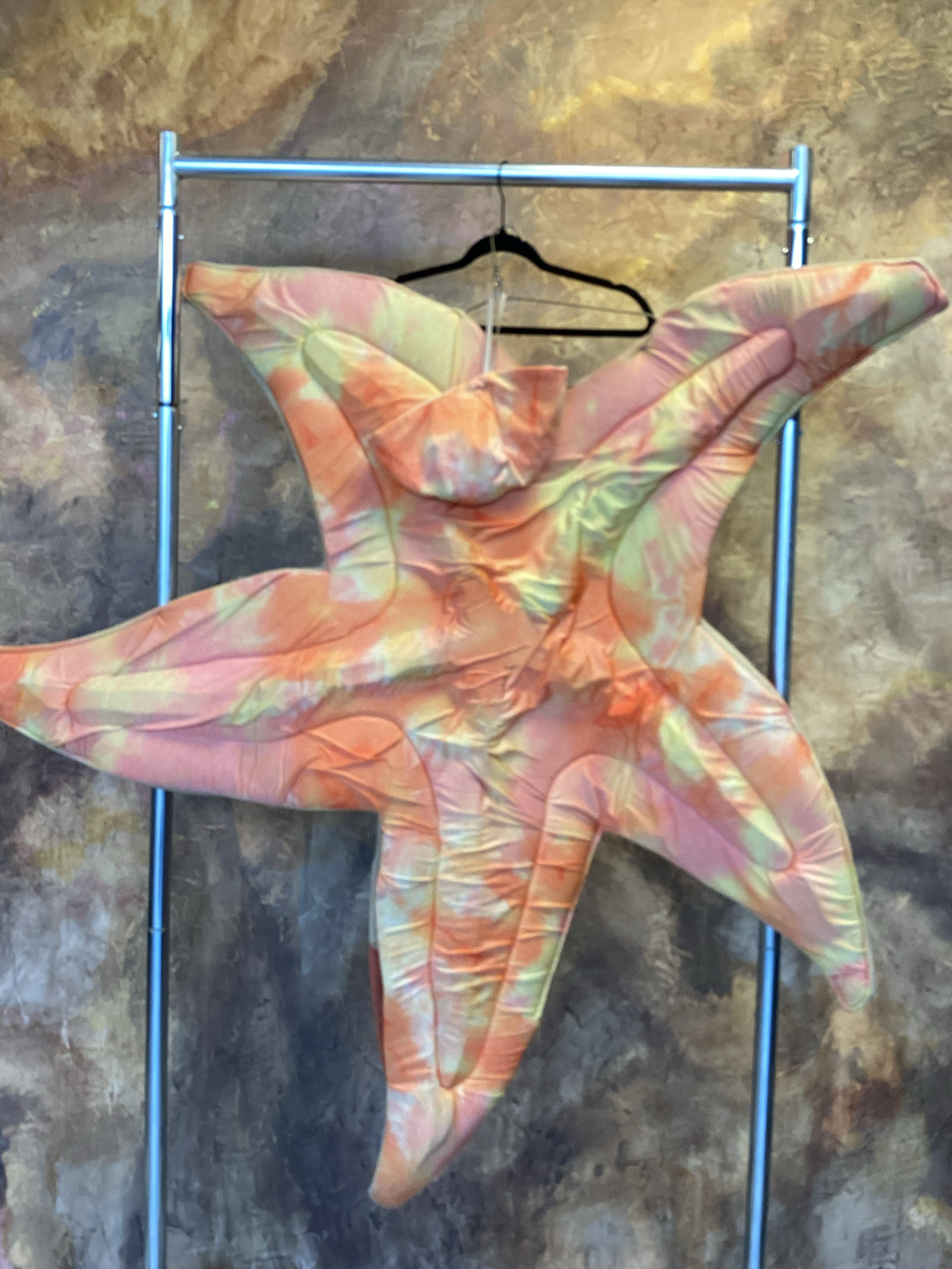 Sea creature - Starfish