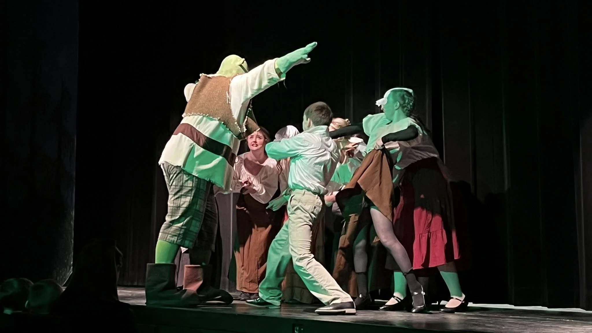 Shrek the Musical #1.jpg