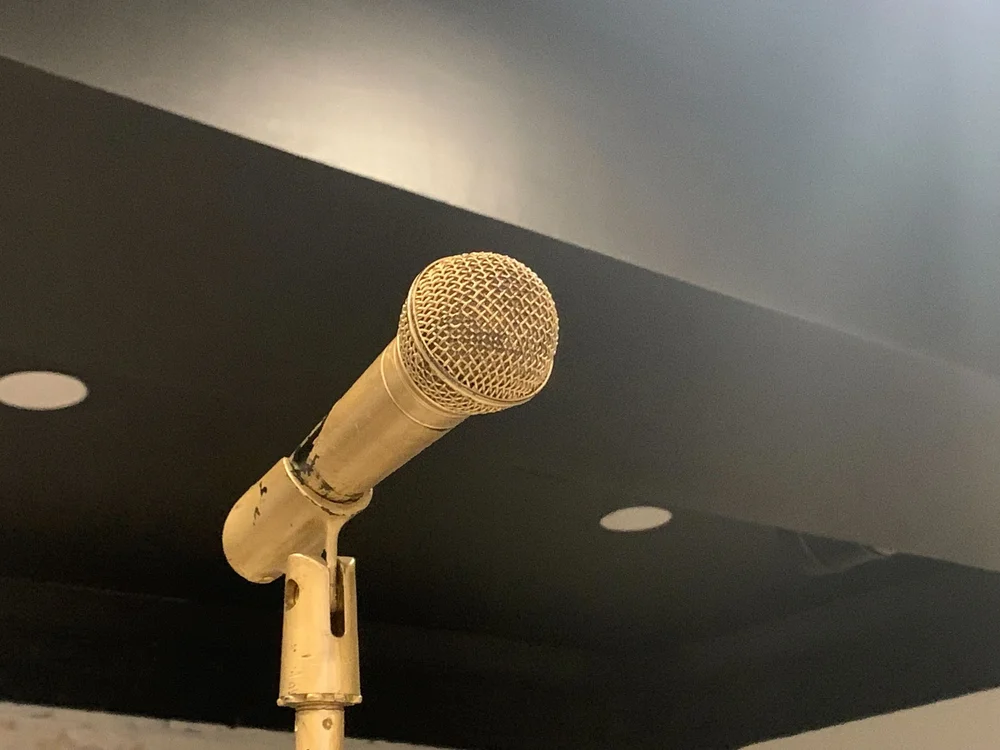mic.jpeg