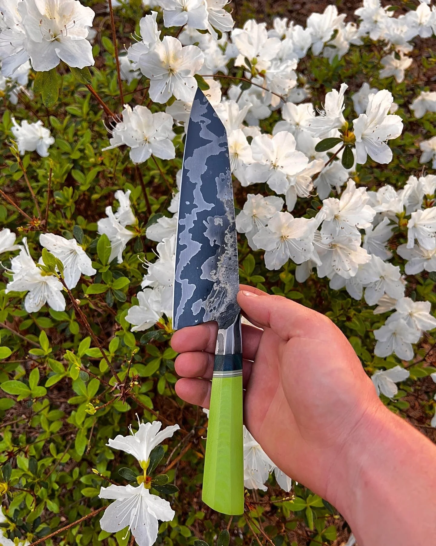 A person holding a patterned chef's knife over white azalea flowers.