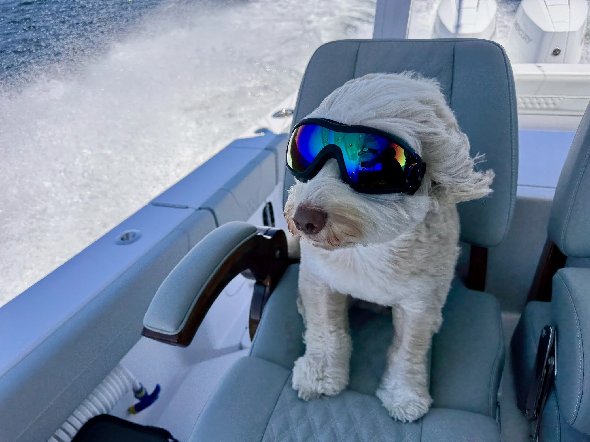 "Hey Jan - thought you would like this picture. Coolest pup in Rhode Island. He loves his new goggles on the boat when we are going fast. He loves going for rides." π₯
Cultivating relationships with forever families is a priority for us -
