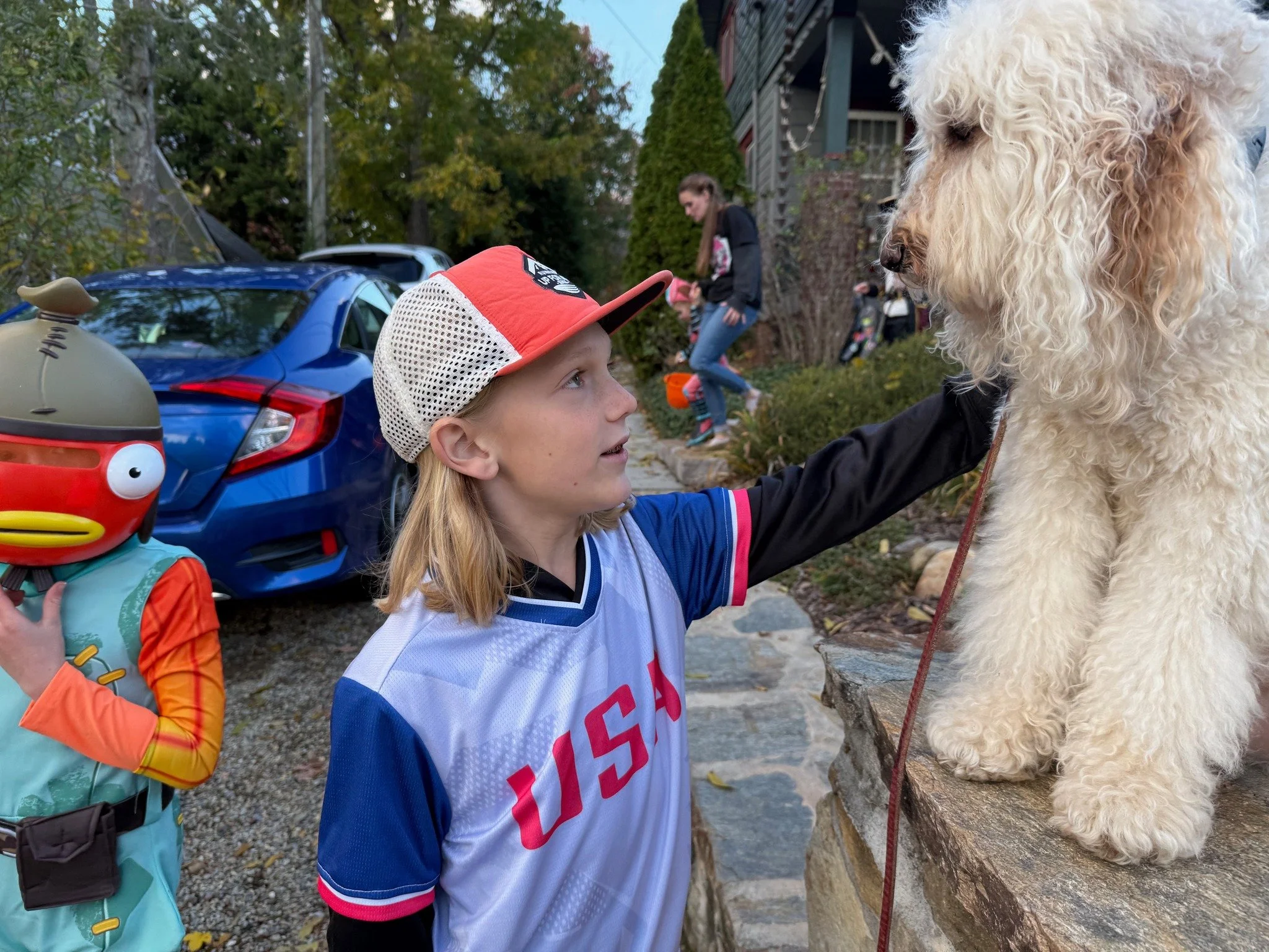 Therapy dog extraordinaire - William Ross, a.k.a. Mr. wonderful -
greeted ghosts and goblins and everything in between last night, perched on a stone column in a lovely community in downtown Weaverville, NC.

Who knew that therapy work was vital on H