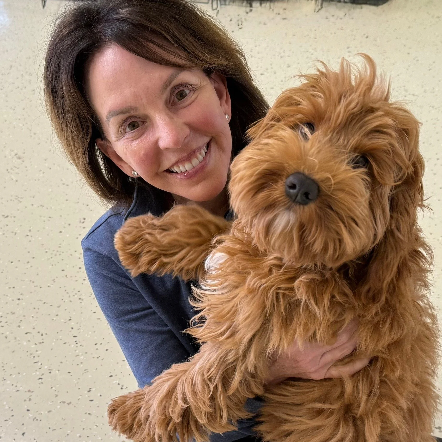 It's always bittersweet when our doodles have their homecoming with their forever human, but that smile says it all! 💕Thanks Charlie for all of the fun - and cheers to your fabulous future!

#doodlehomecoming #doodledogsofinstagram #doodlelife #Dood