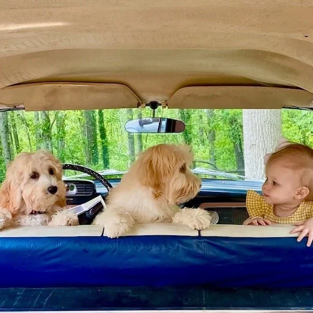 "But wait - who's driving?!?" 
It is not too early to start planning a 2026 road trip - the Studebaker wagon is loaded! 

When planning your adventures, always remember: 

🌎 "It's not where you go, it's who you travel with". 
🚗 