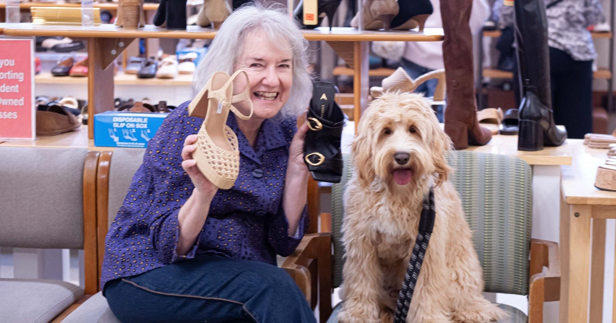 Jan takes Max shoe shopping at @topsforshoes - or is it the other way around? This doodle has good taste, after all! Max is so well trained and socialized that bopping around @avldowntown is a joy!
This mature - but still a pup! -  multi-generational
