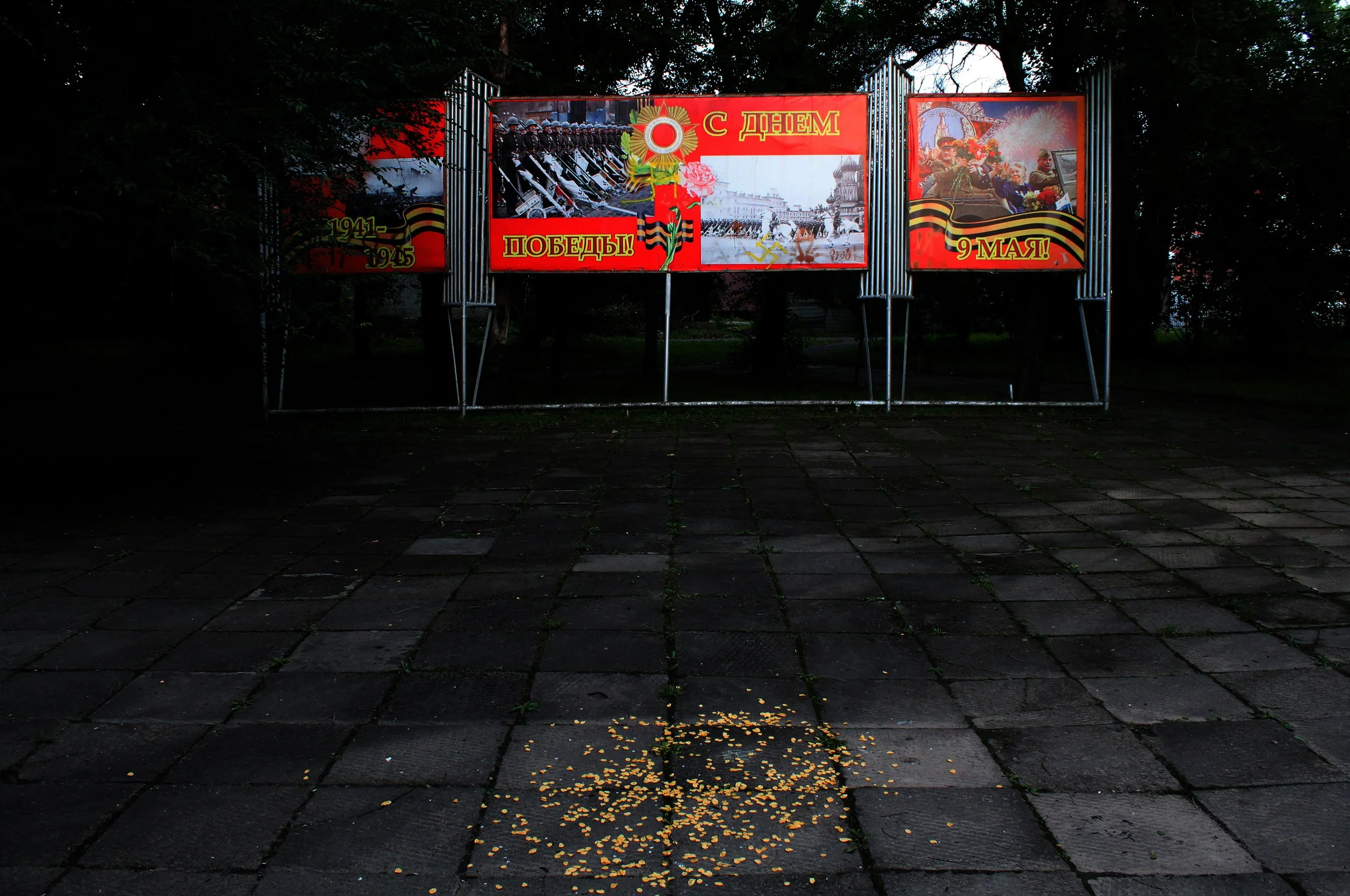 bird food & sign.jpg