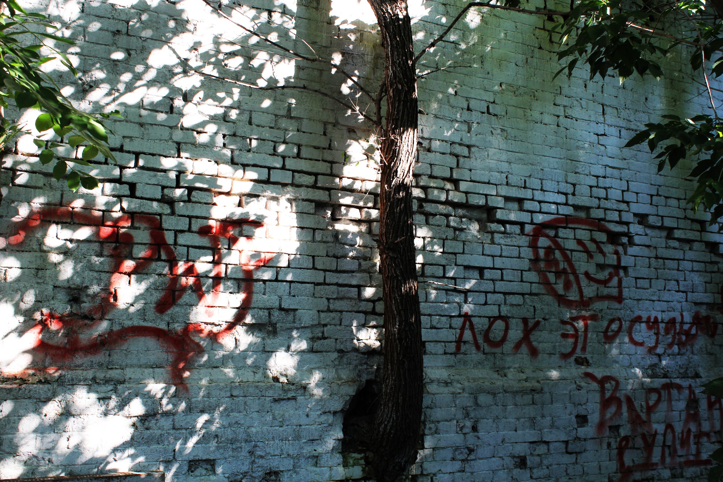 grafitti tree wall.jpg