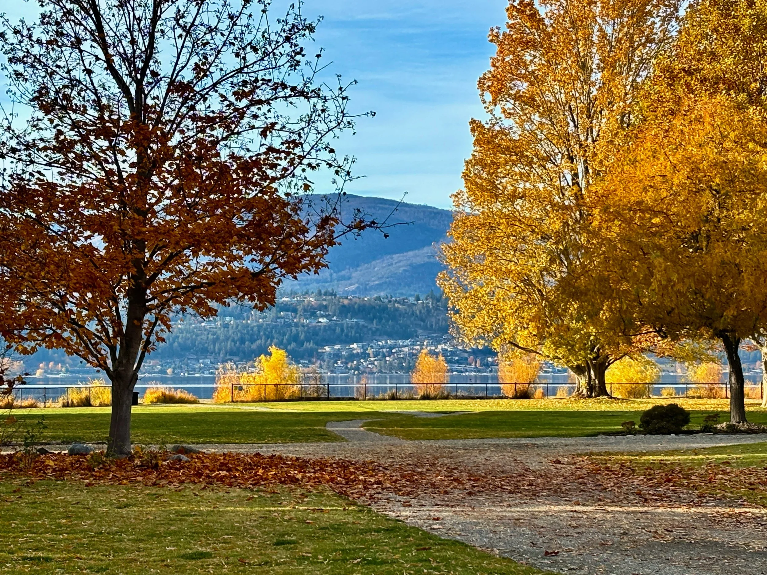 An Extraordinary Season