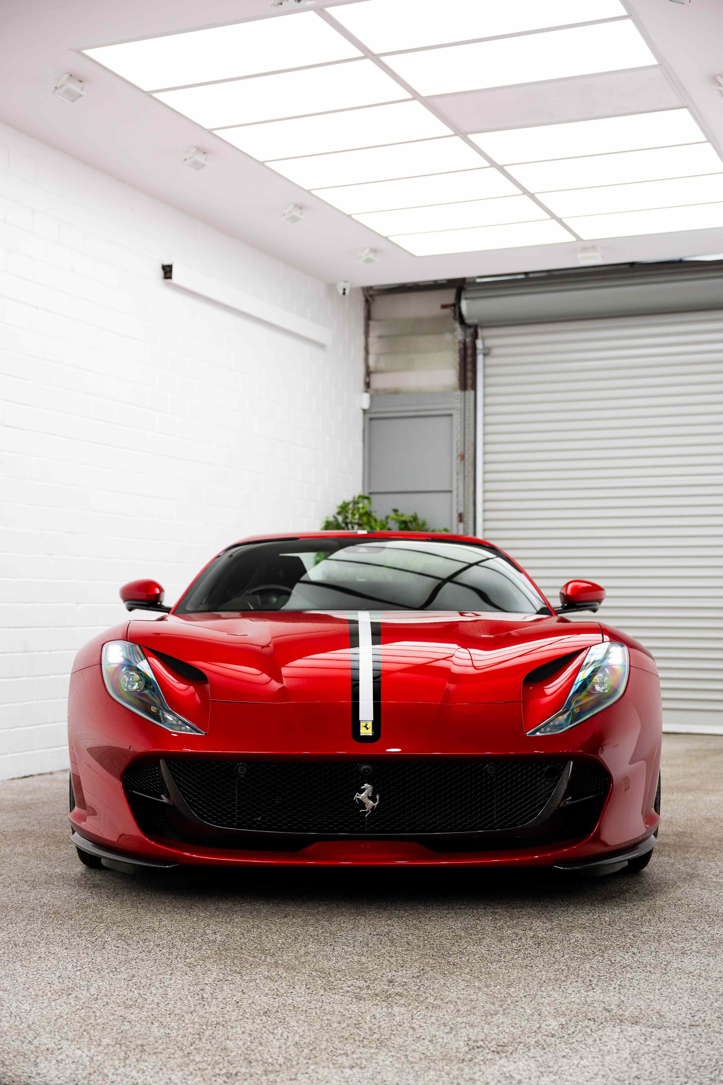 Red Ferrari 812 GTS front view in studio with XPEL Paint Protection Film in Mona Vale