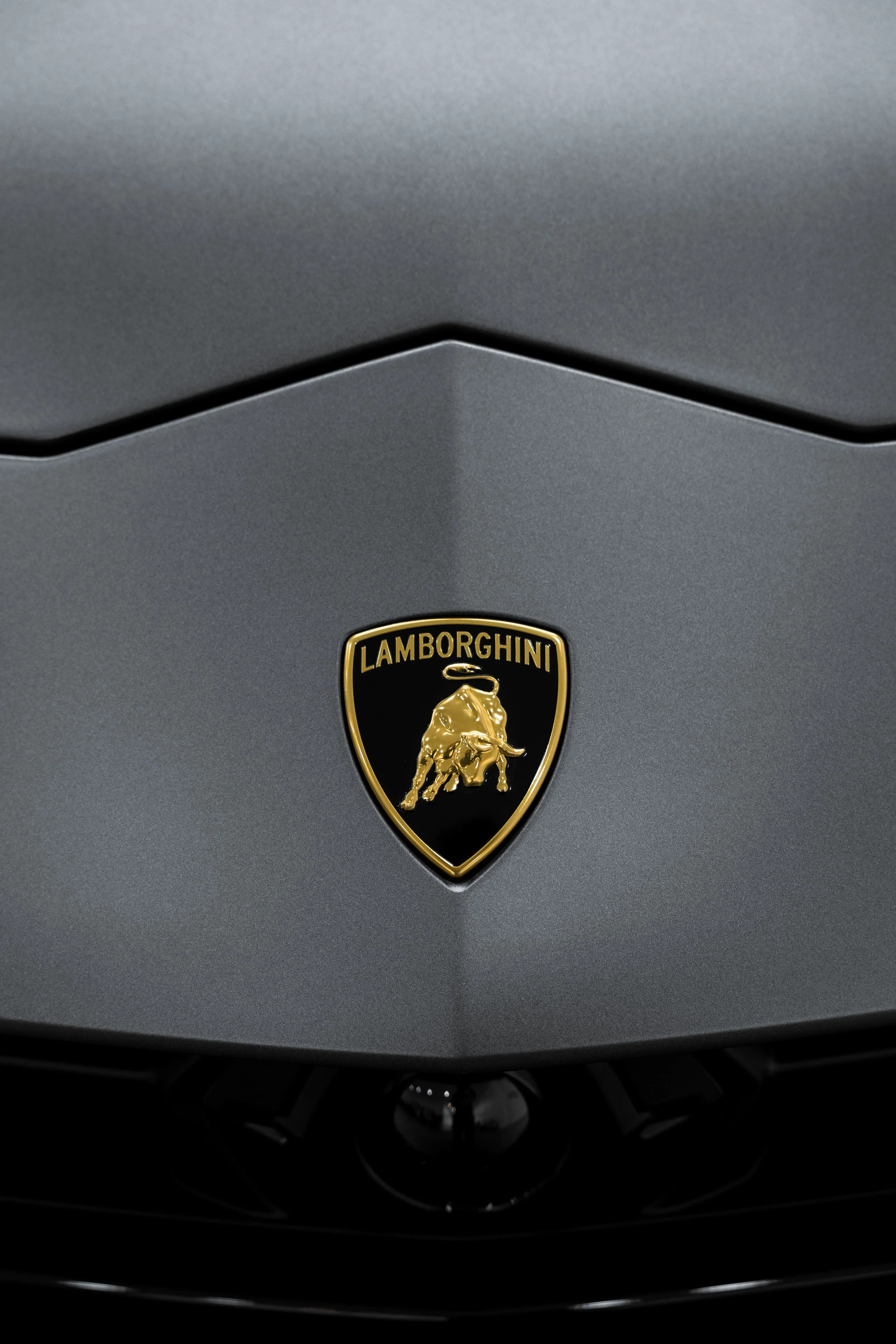 Lamborghini Urus bonnet badge on matte grey finish with PPF protection by ADS in Sydney