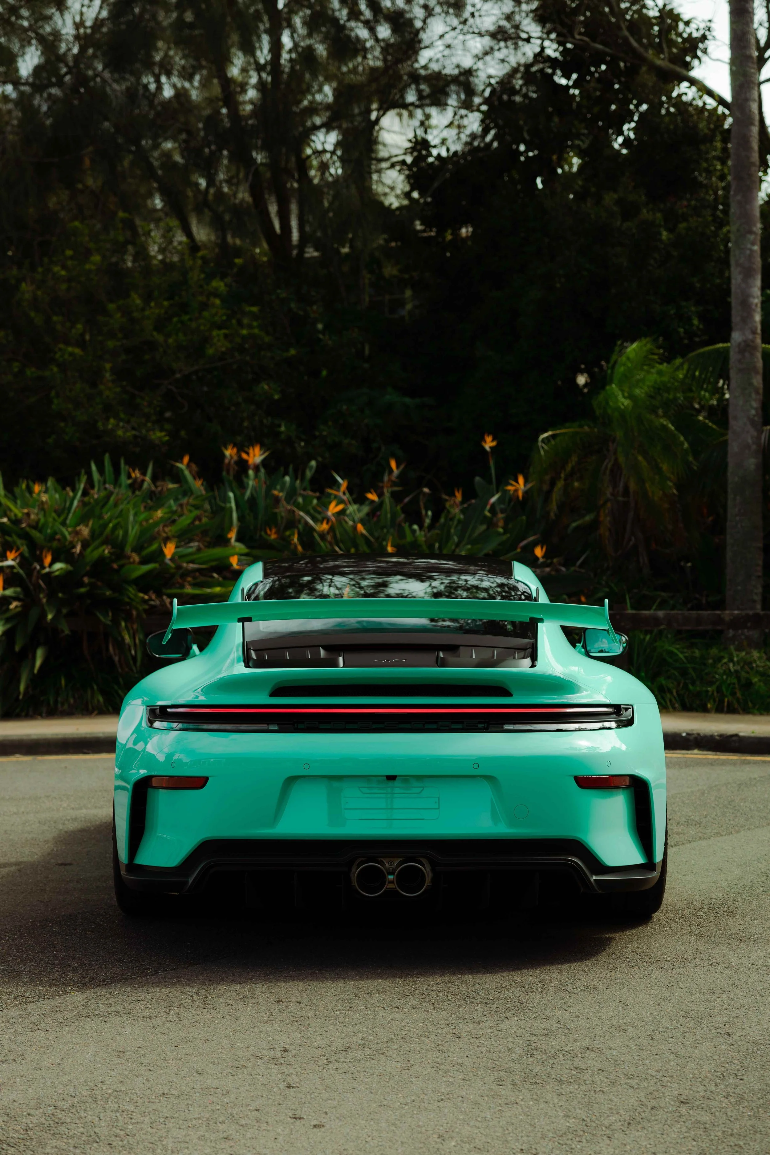 Mint green Porsche 911 GT3 rear view on location with XPEL Paint Protection Film in Sydney