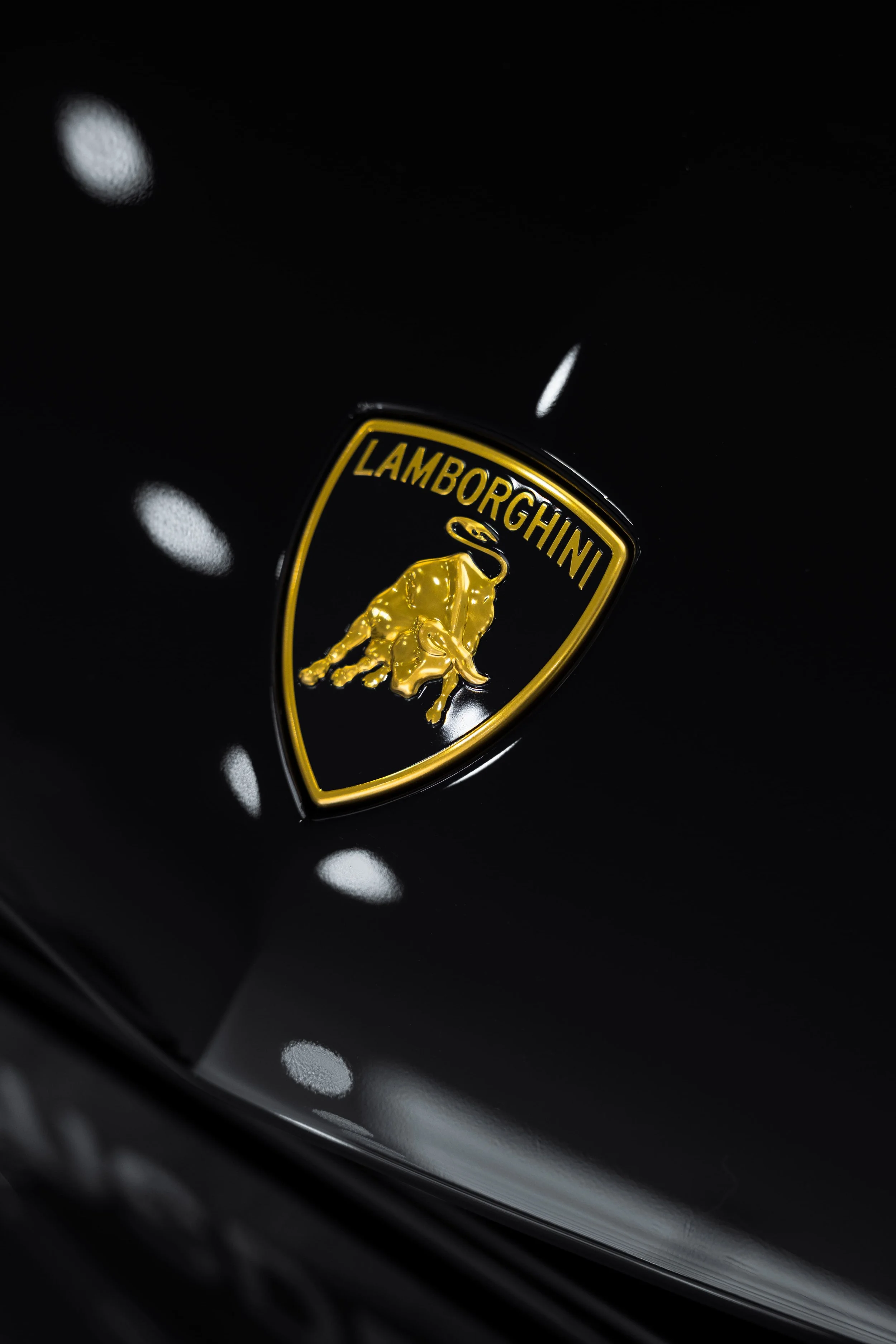 Lamborghini badge on black bonnet with high gloss finish protected by PPF and detailing by ADS in Sydney