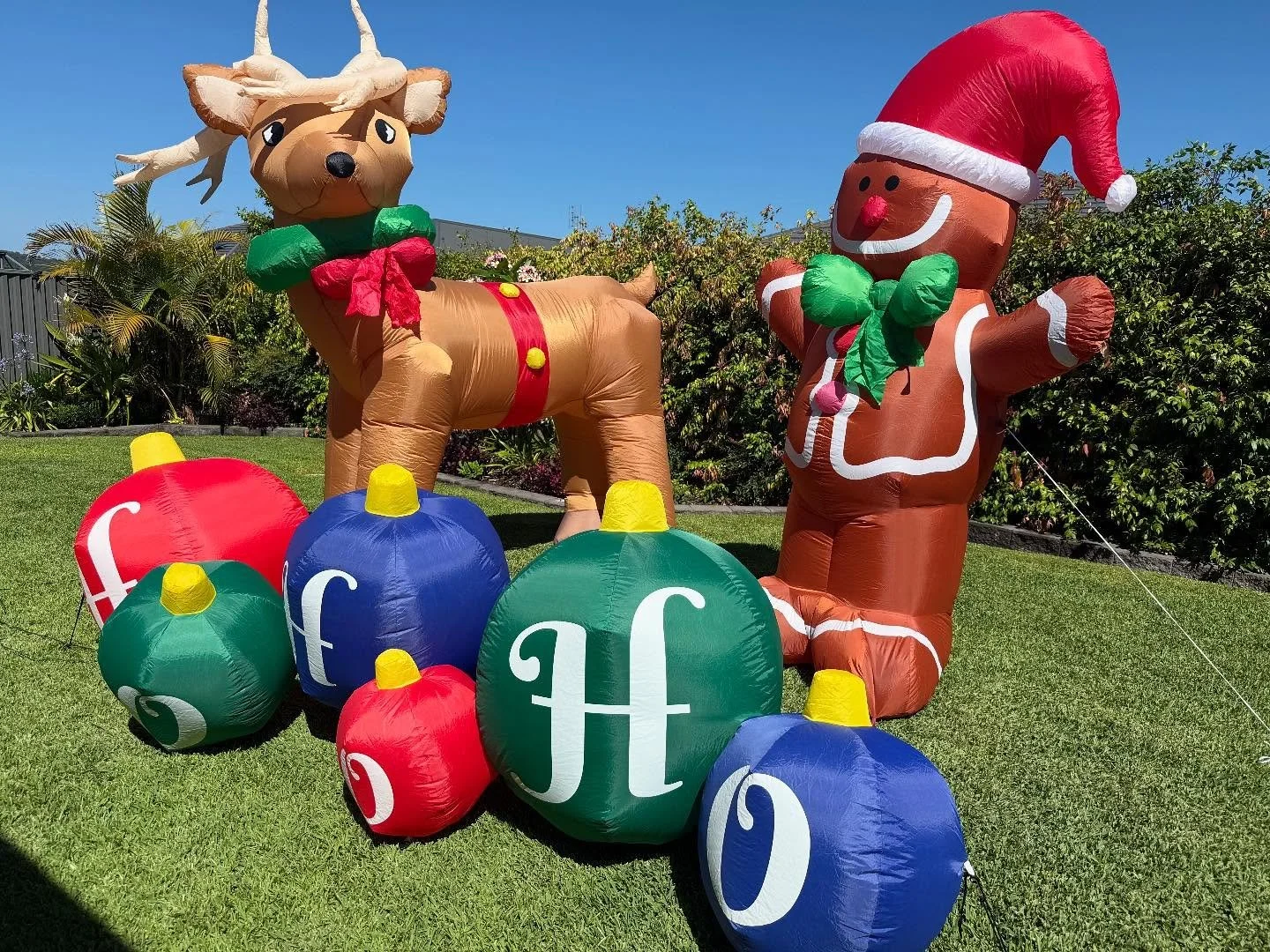 Getting ready for the big day 🎄