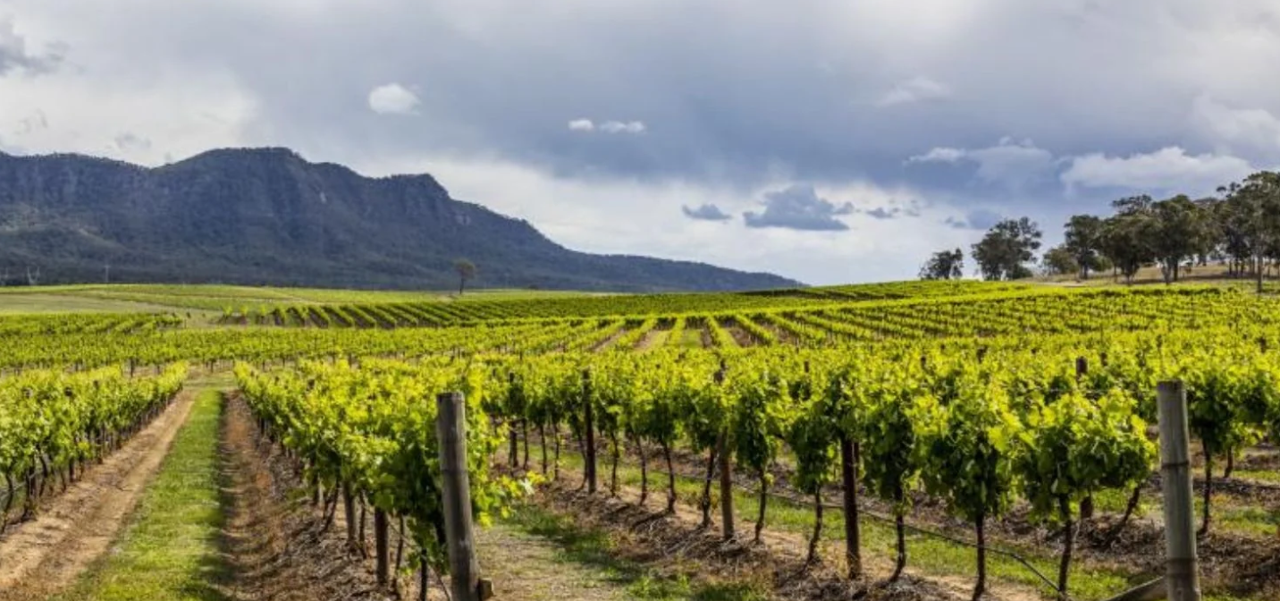 Why the Hunter Works for First Home Buyers and Investors