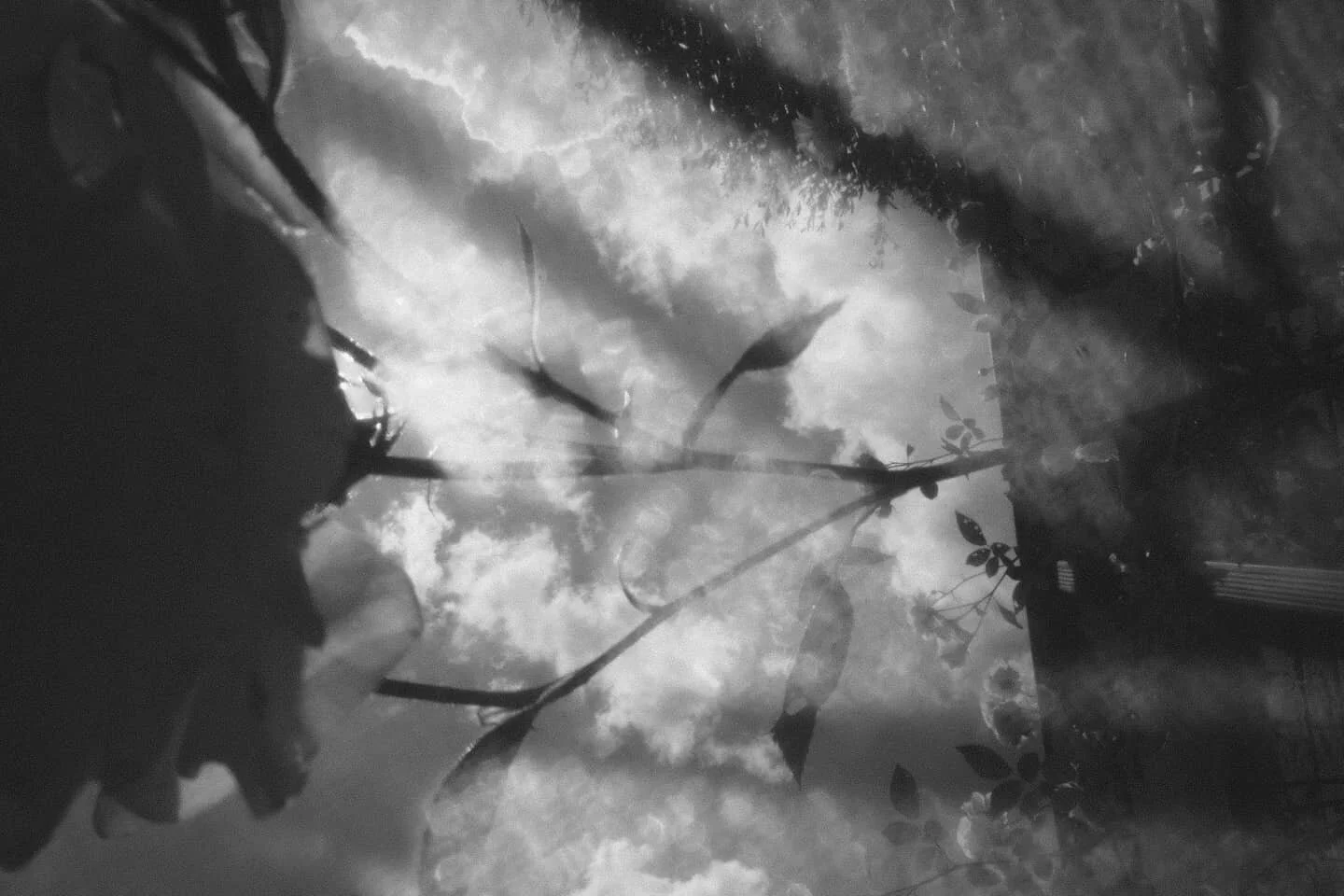 Loooooooving this @fujifilm_sa X-T20. Always wanted a Fuji and this thing is making my heart happy. #fujifilmxsa