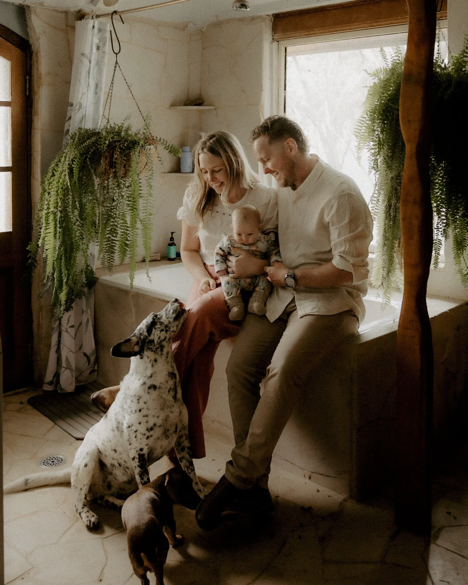 Late winter light, a new little soul, and the soft chaos of home - dogs underfoot, horses wandering the fence line, everyone settling into their new shape as a family.