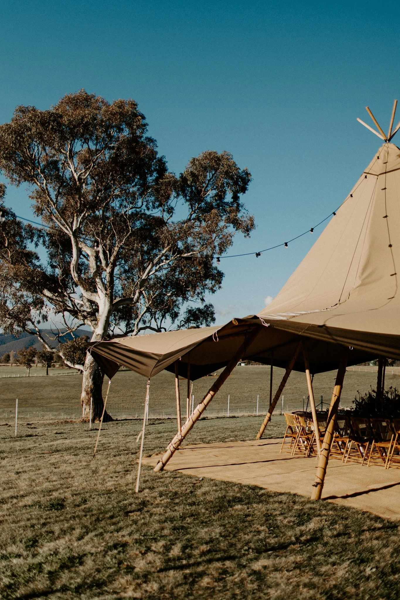 The Collective Planner styled shoot-57.jpg