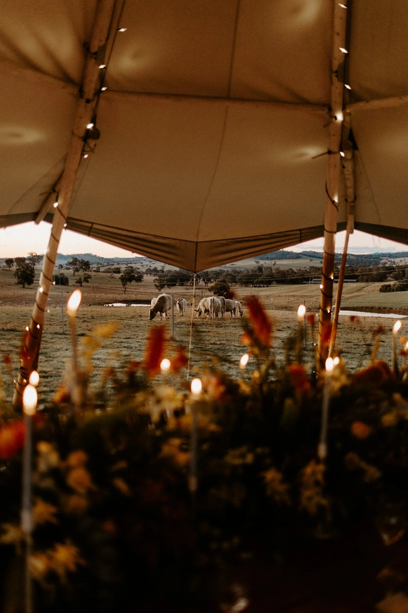 The Collective Planner styled shoot-164.jpg
