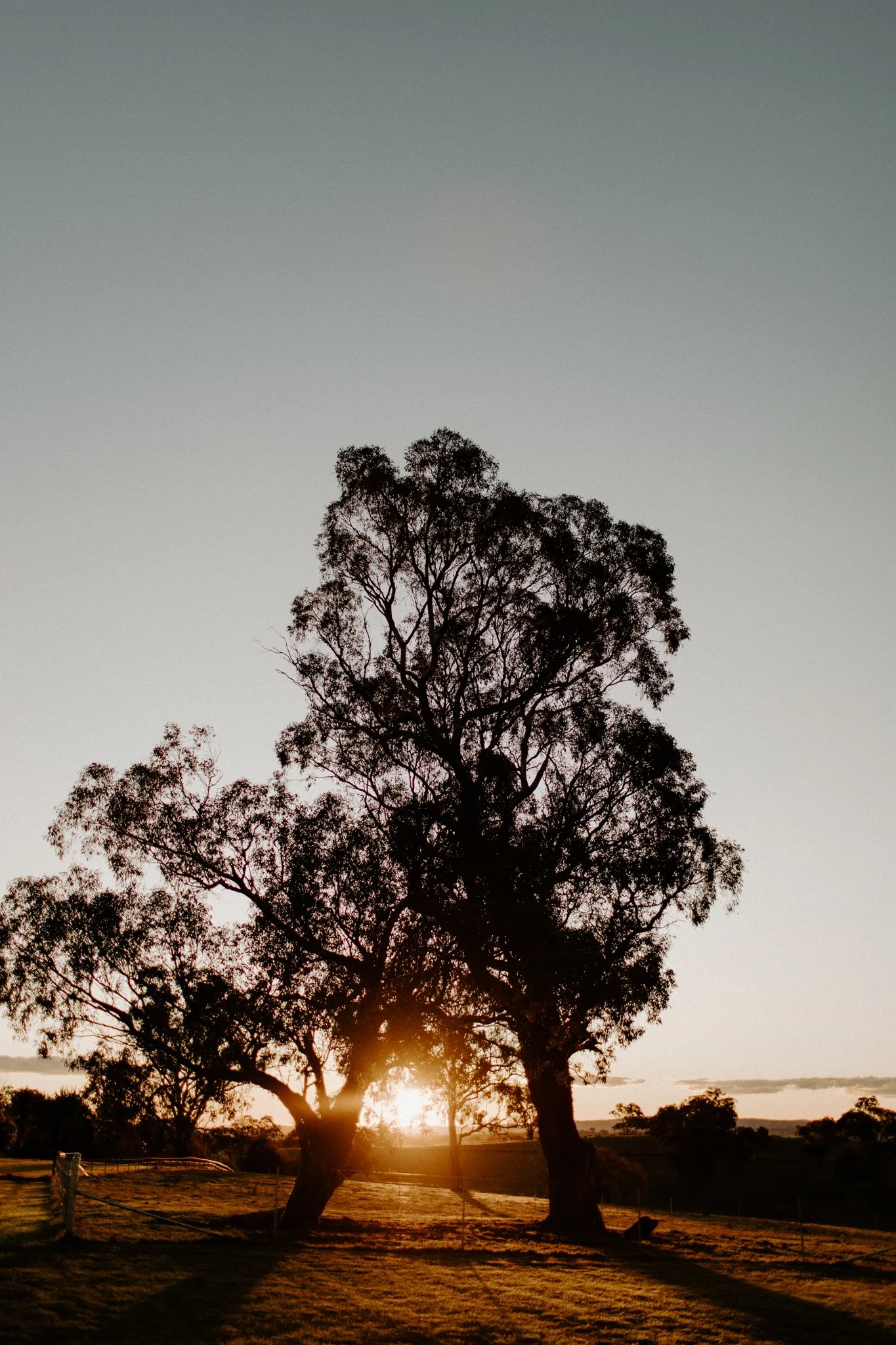 The Collective Planner styled shoot-135.jpg