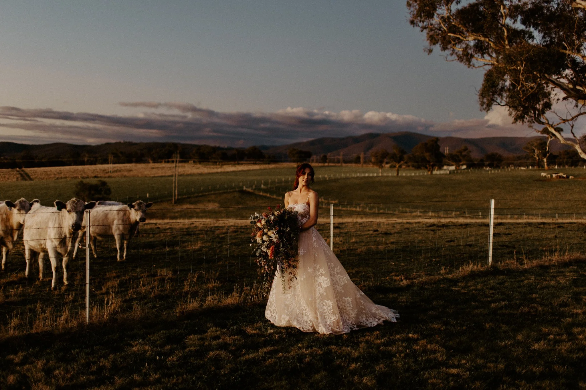 The Collective Planner styled shoot-173.jpg