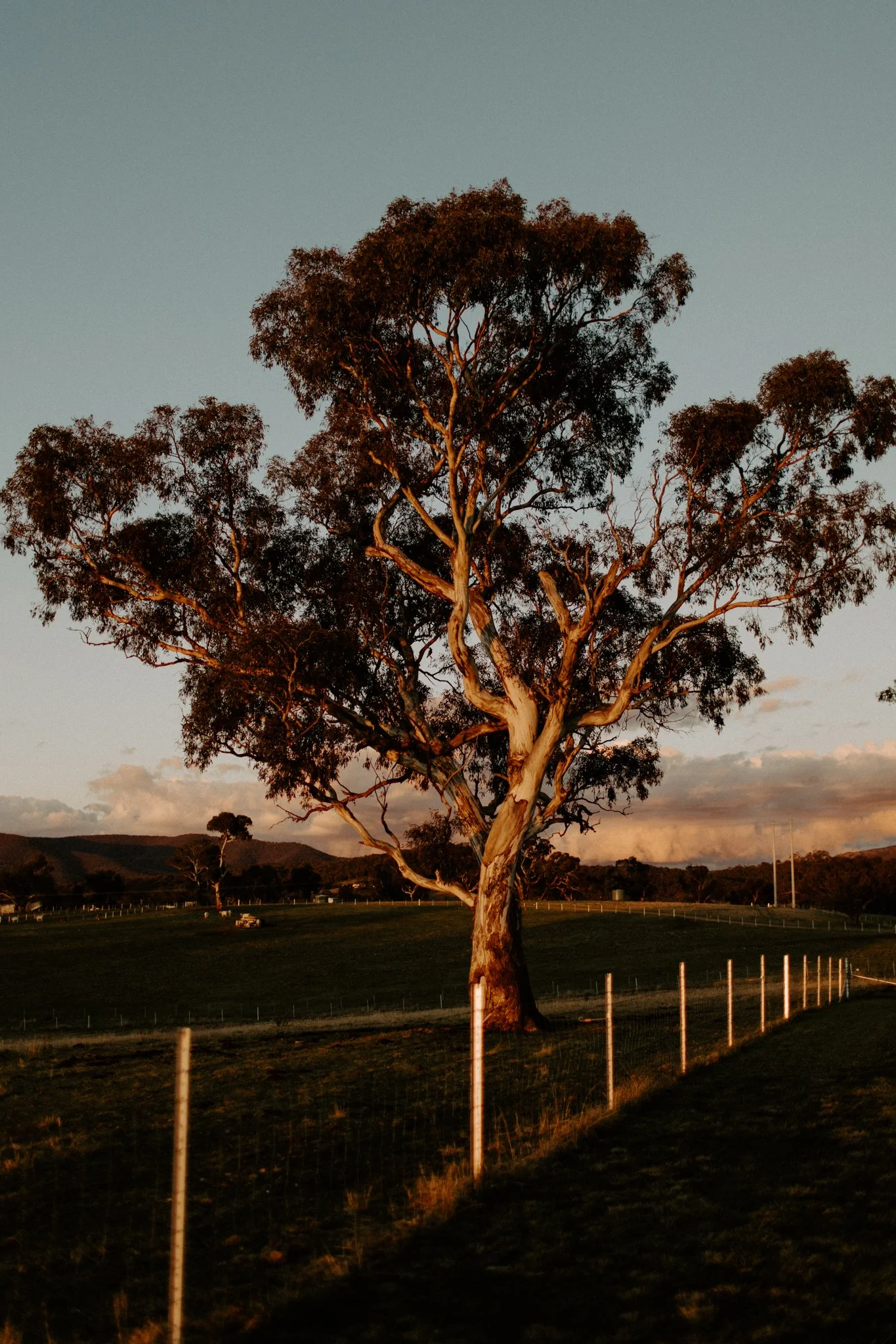 The Collective Planner styled shoot-136.jpg