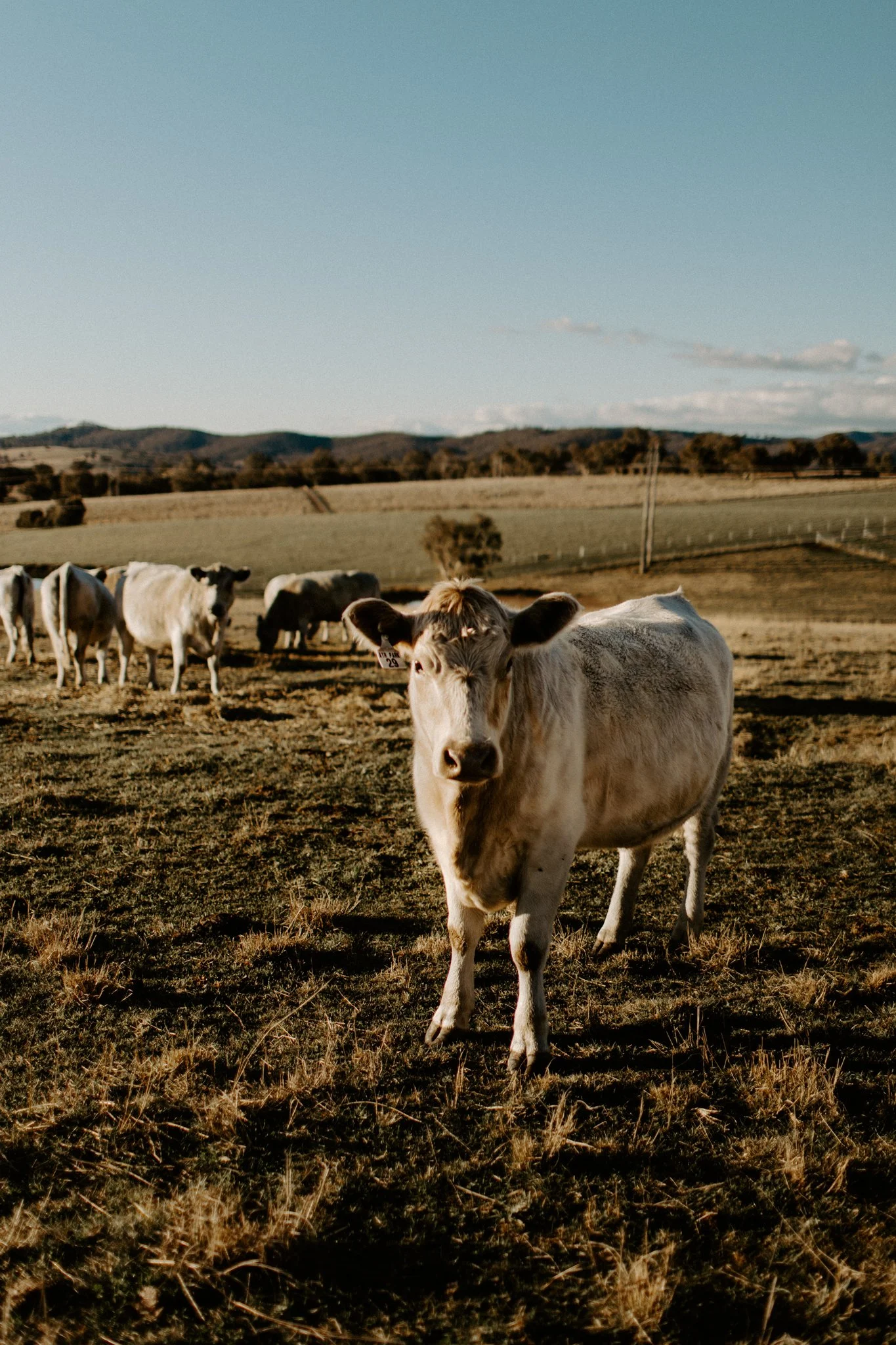 The Collective Planner styled shoot-91.jpg