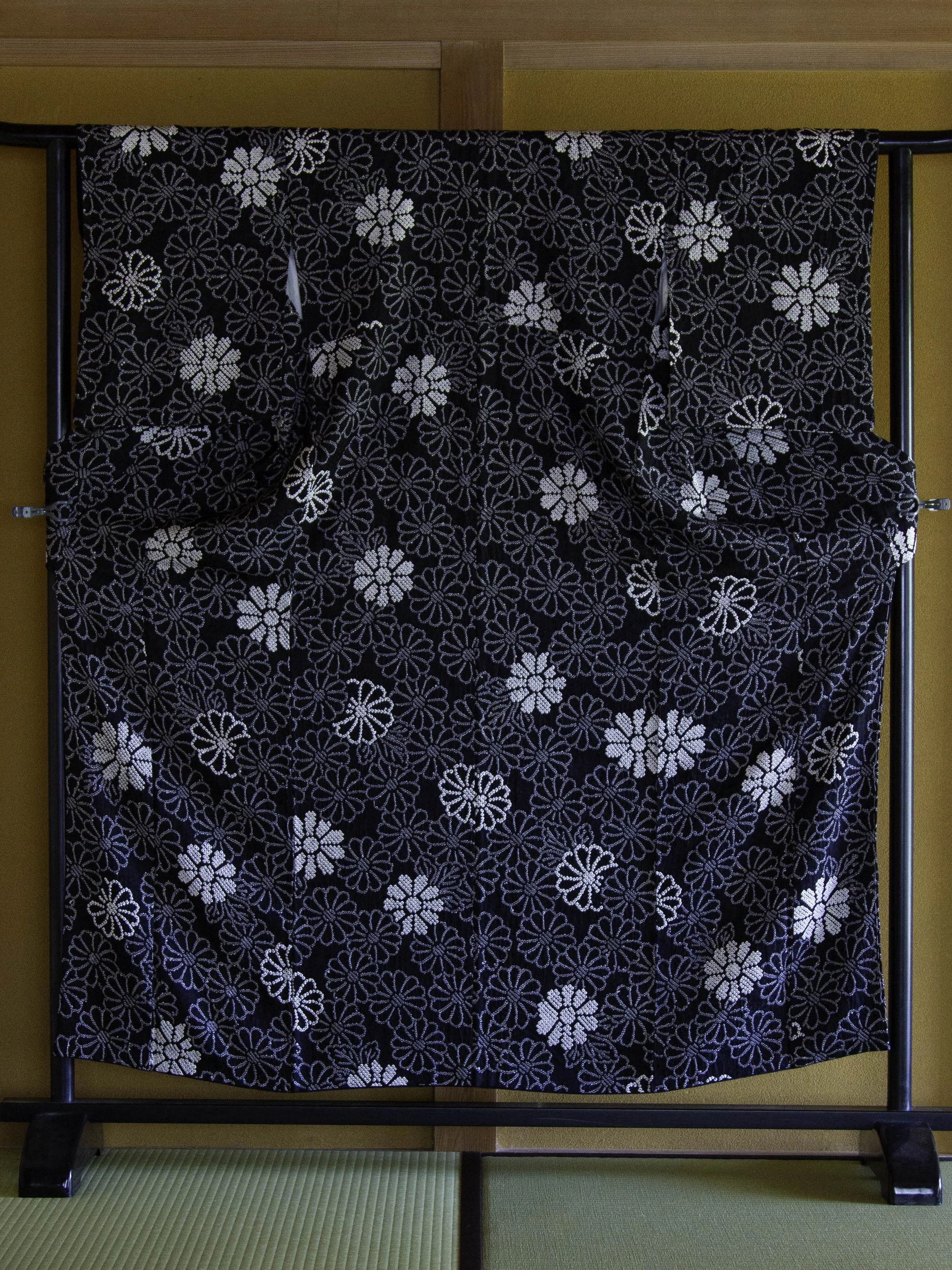 SQ6275726-4.jpg