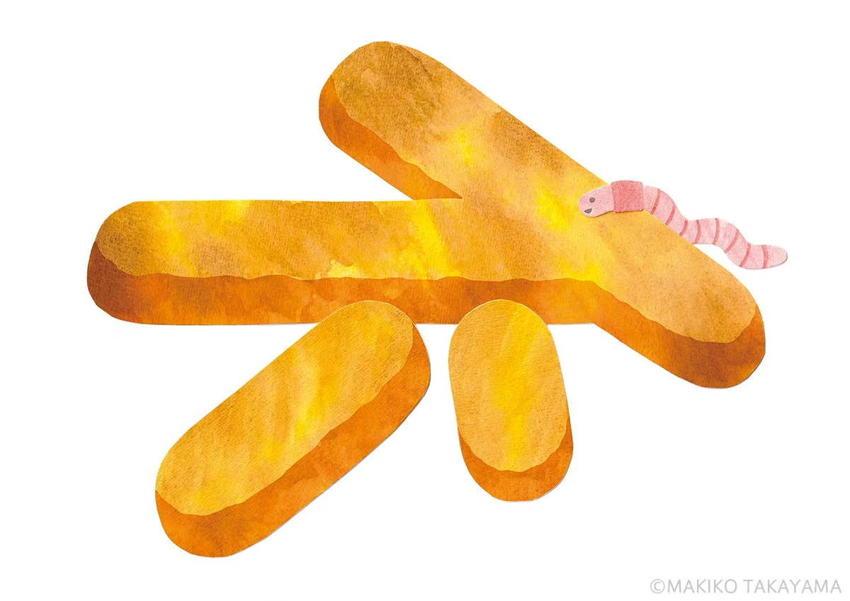 やさいの時間 不耕起