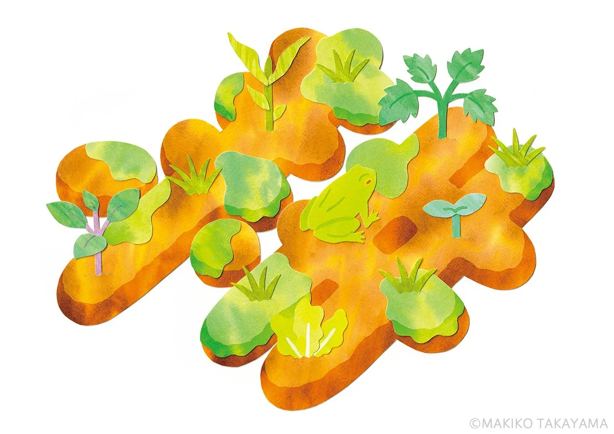 やさいの時間 不耕起