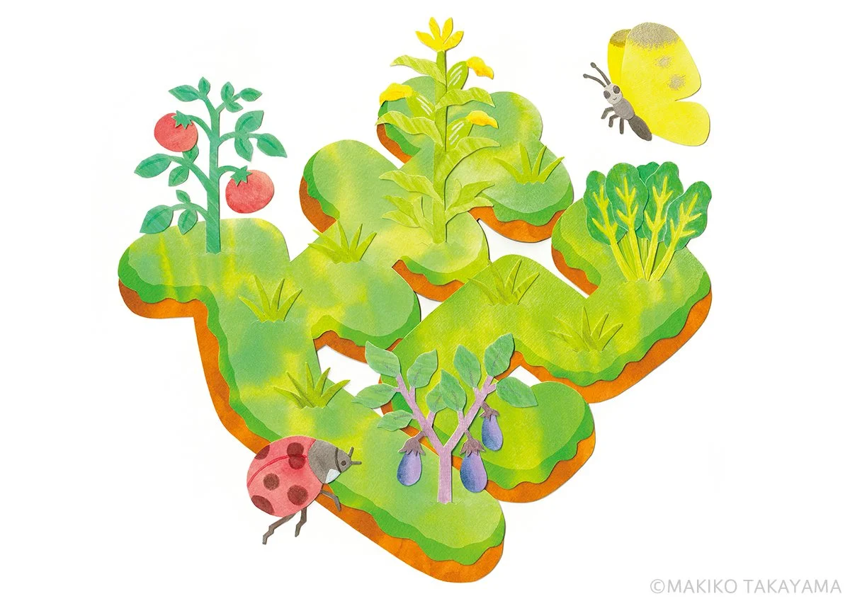 やさいの時間 不耕起