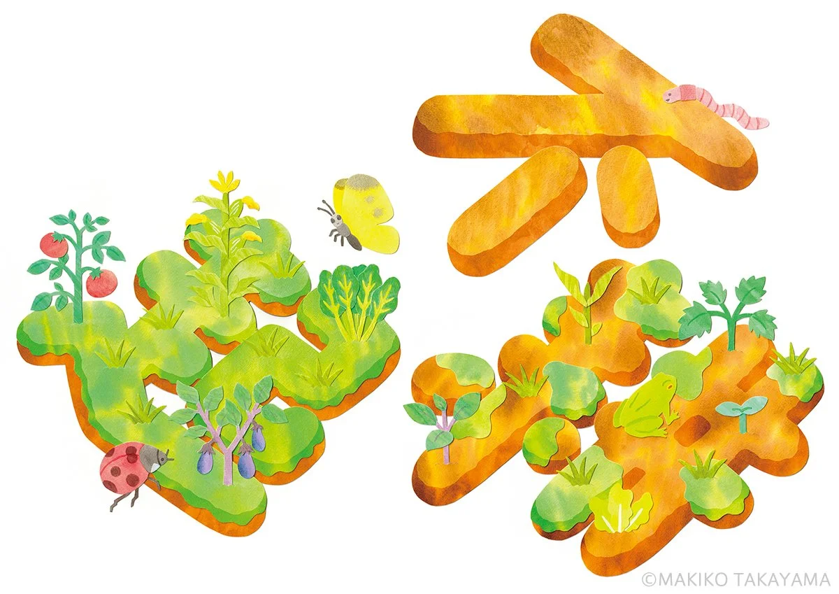 やさいの時間 不耕起