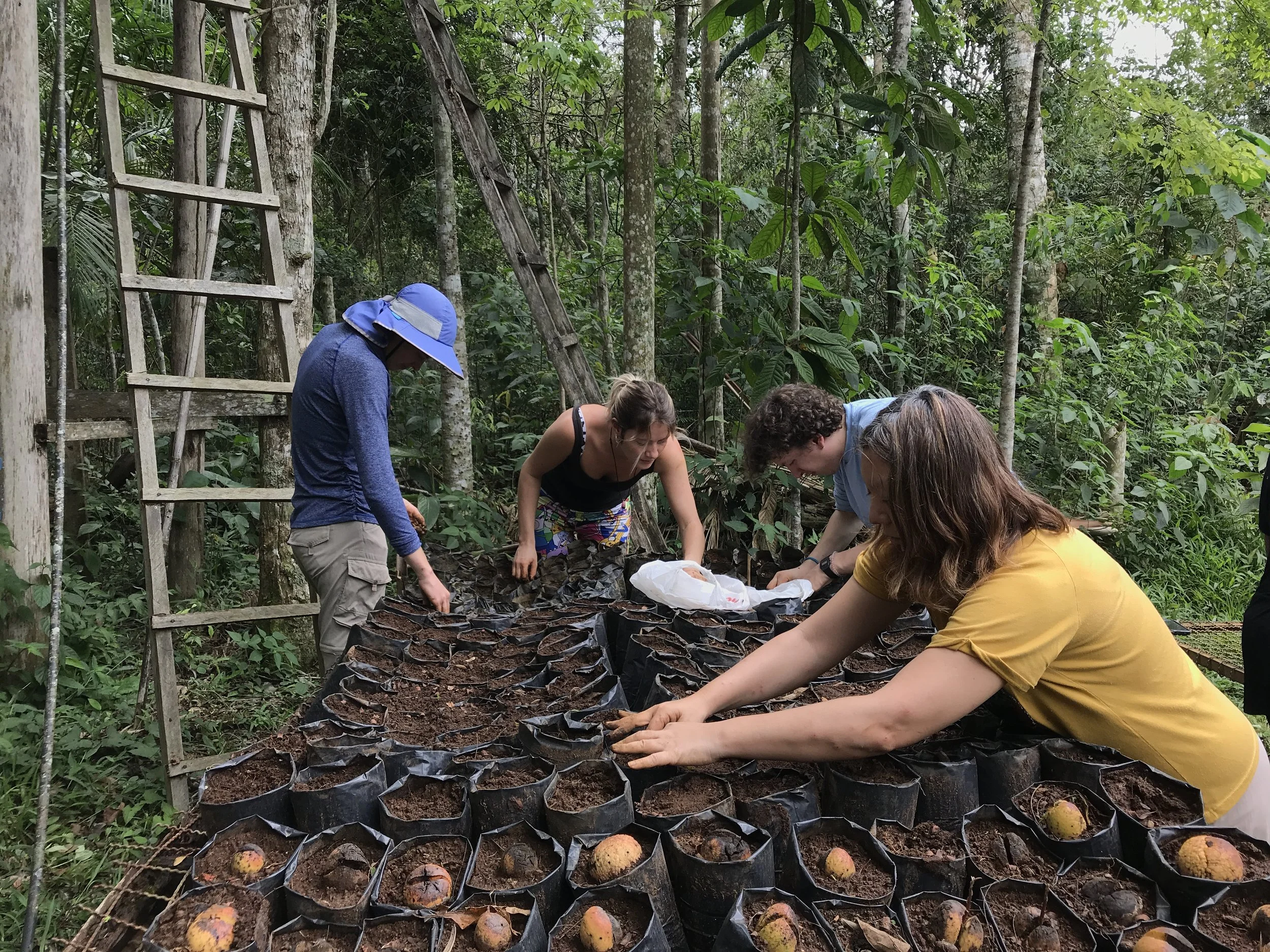 Four people planting or tending to seedlings or small plants in a forest or jungle environment. They are working on a long table covered with black plastic containers filled with soil and young plants.