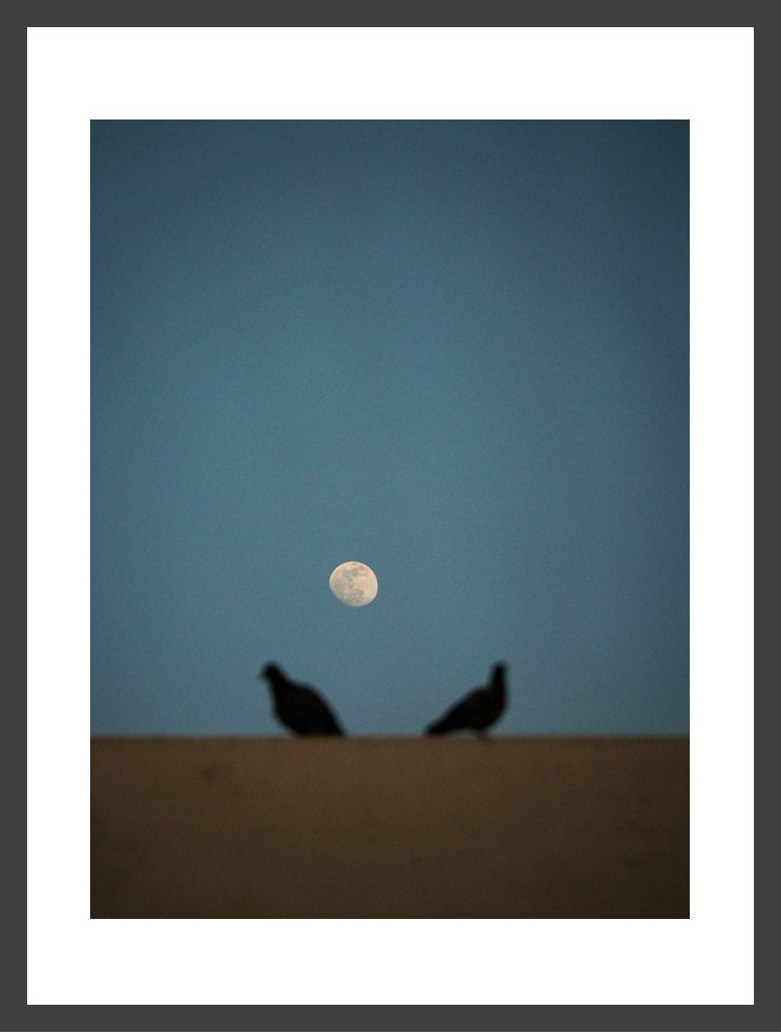 Just another apparition - II.jpg