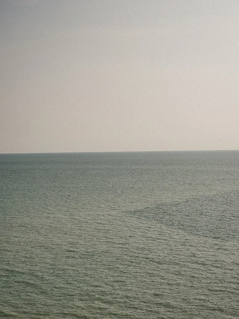 P1133343.jpg