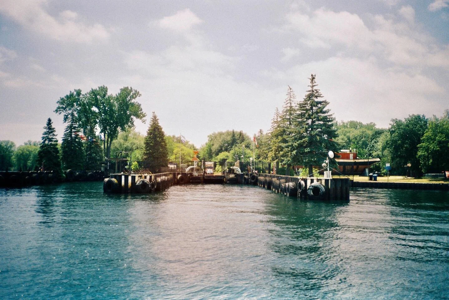 Portra 800 Lake Ontario /  Parktown / Kalahari / Krugersdorp / St James