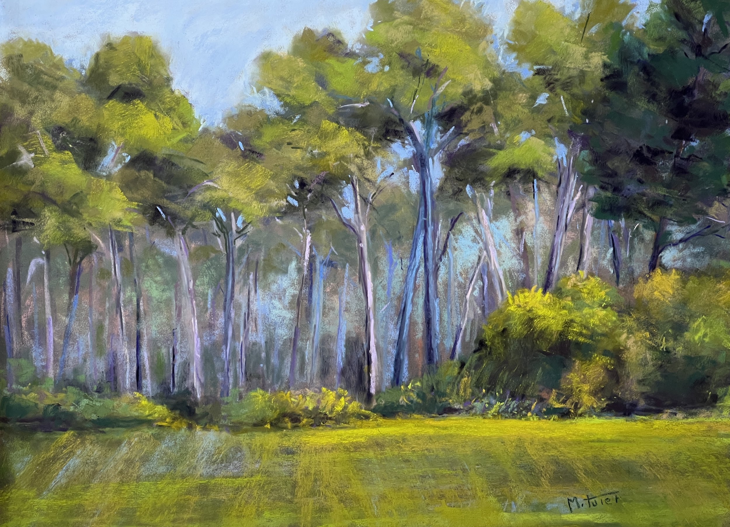 Pinetrees_in_Provence _30x40cm_Private_ Collection