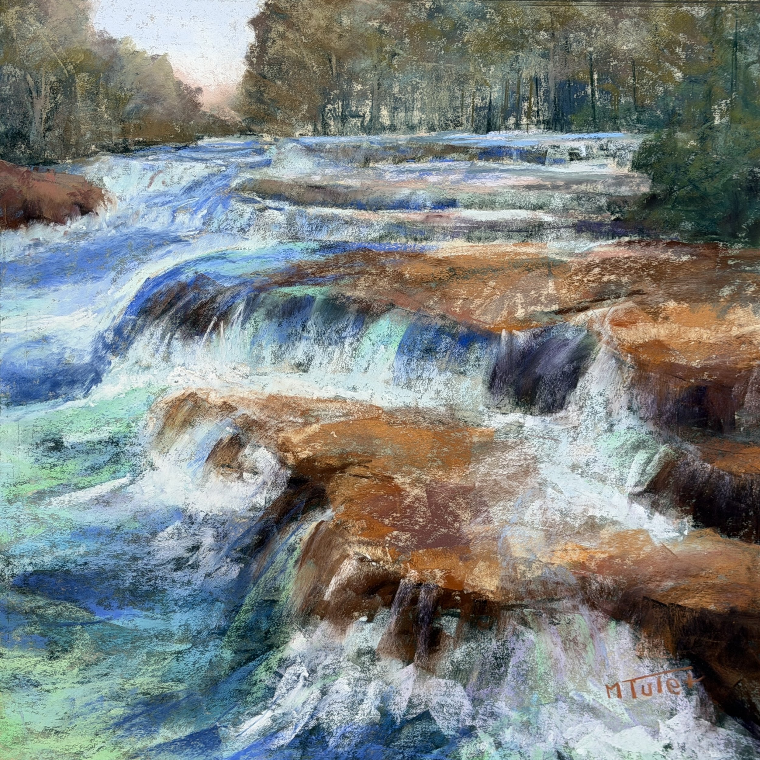Wild - 40x40