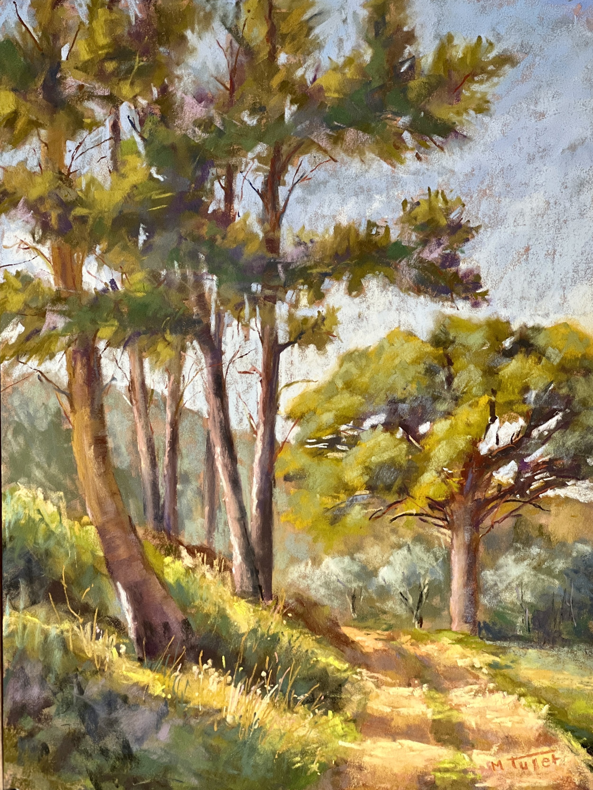 Pine_trees_Provence. 30x40cm