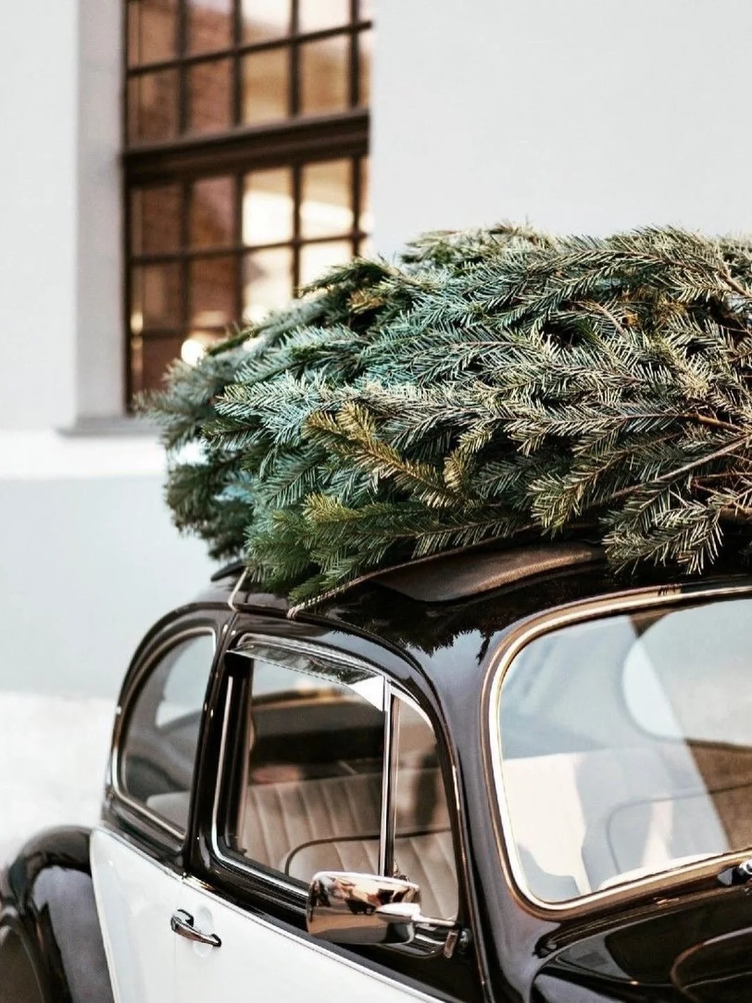 LAST CALL ✨
⠀⠀⠀⠀⠀⠀⠀⠀⠀
You have until 12 PM today to shop online and receive your BE YOU on time for Christmas 🎄
⠀⠀⠀⠀⠀⠀⠀⠀⠀
#beyougeraldinealasio