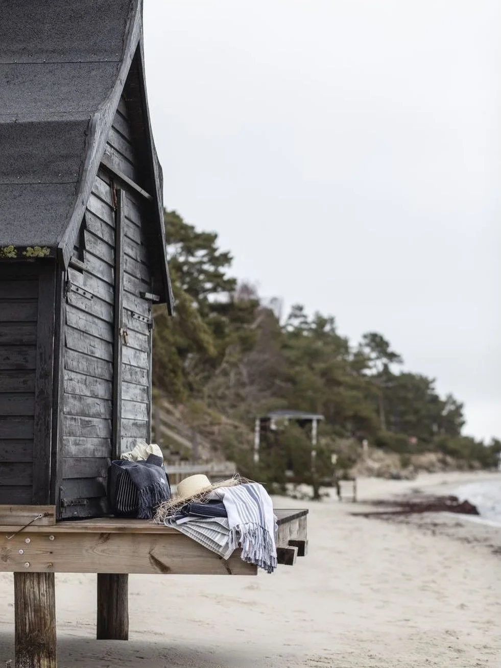 Woke up in paradise
Not complaining
⠀⠀⠀⠀⠀⠀⠀⠀⠀
#beyougeraldinealasio