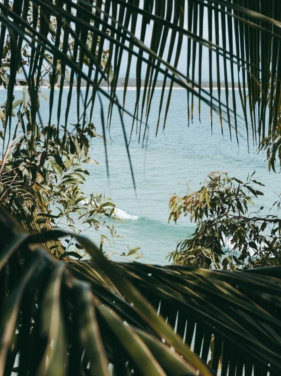 Where light moves slowly and elegance feels effortless.
Soft textures, ocean breeze and timeless silhouettes
_____________________
⠀⠀⠀⠀⠀⠀⠀⠀⠀
#ss26
#beyougeraldinealasio