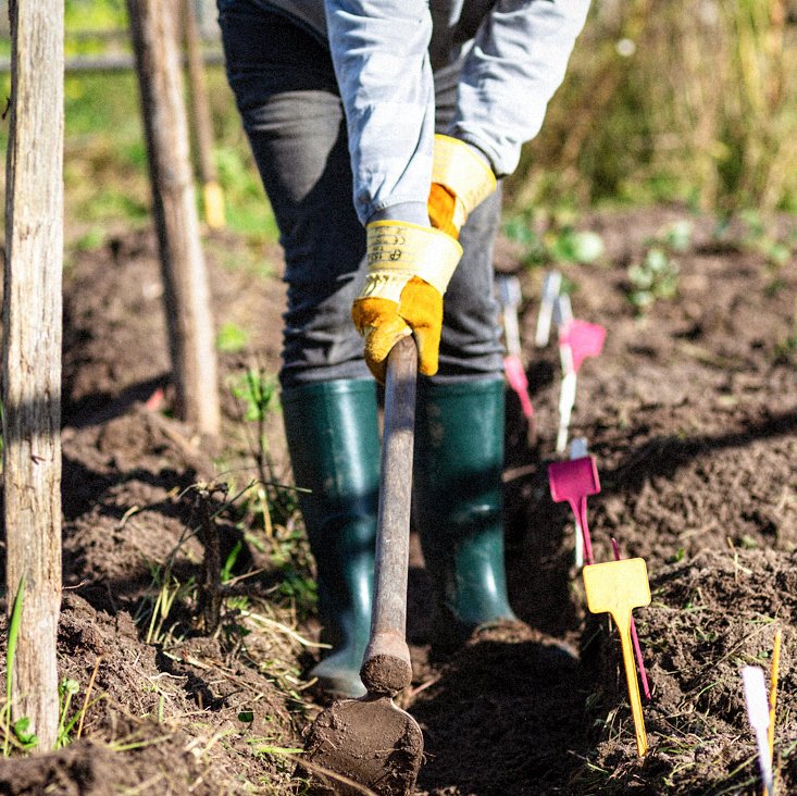 Atelier 5 : plantons enfin ! où, comment, pourquoi