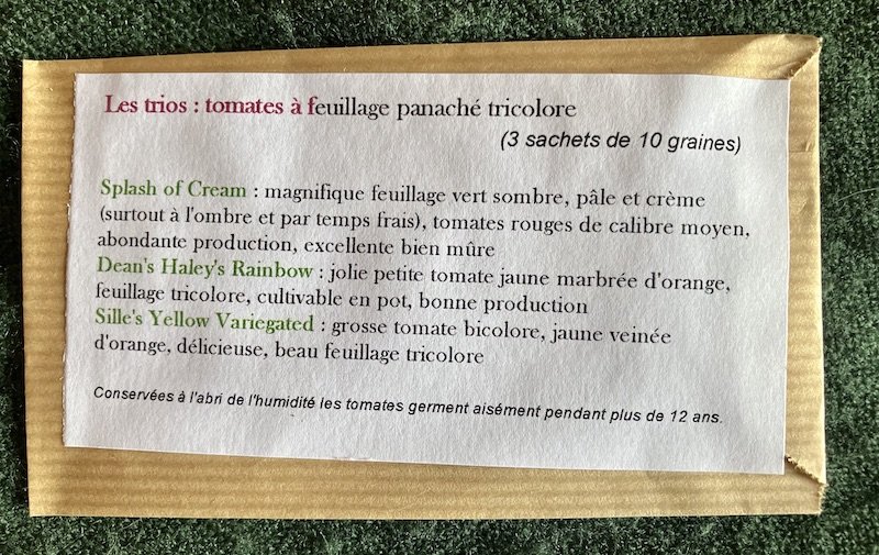 Tomates à feuillage panaché