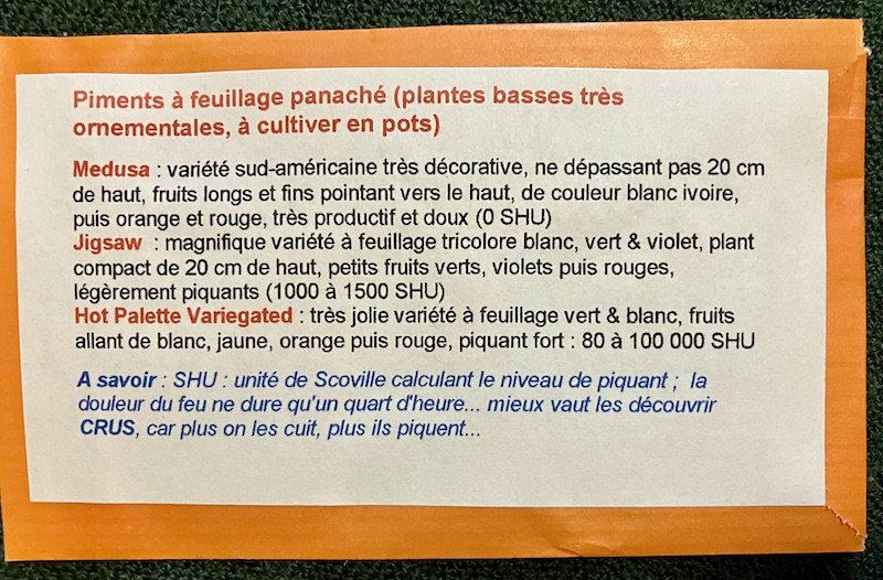 Piments à feuillage panaché