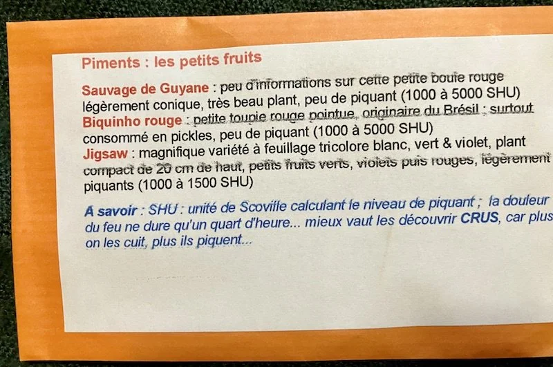 Piments à petits fruits