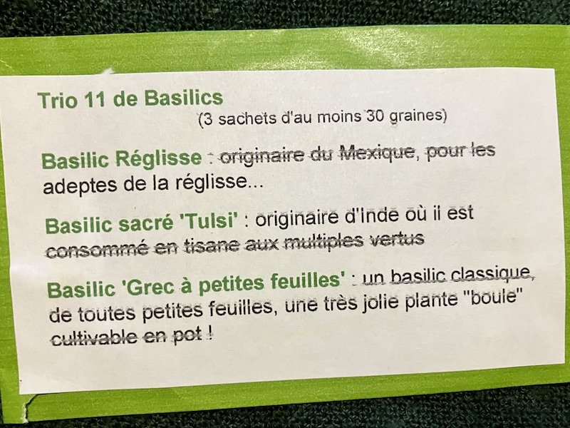 3 basilics #11 : Réglisse, Grec à petites feuilles, sacré "Tulsi"